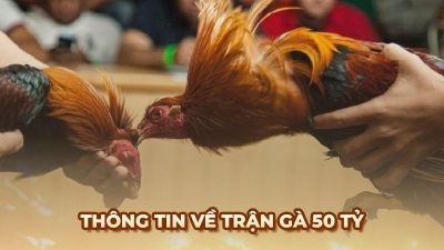Cuộc chiến gà 50 tỷ – Trận đấu đỉnh cao trong lịch sử chọi gà