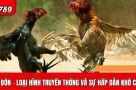 Đá gà đòn – Nét đẹp văn hóa và sức hấp dẫn khó cưỡng