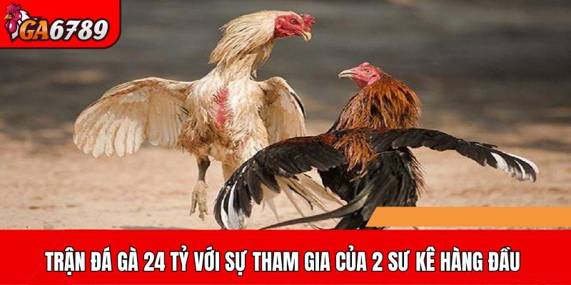 Trận đá gà 24 tỷ với sự tham gia của 2 sư kê hàng đầu