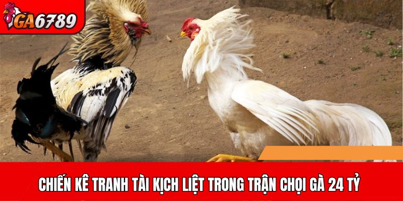 Chiến kê tranh tài kịch liệt trong trận chọi gà 24 tỷ
